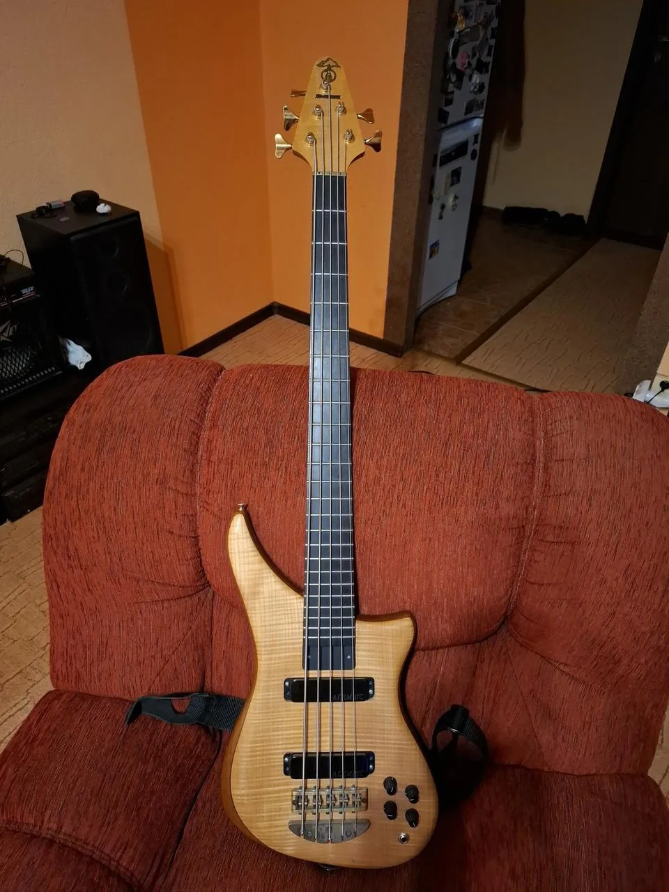 Alembic Epic 5