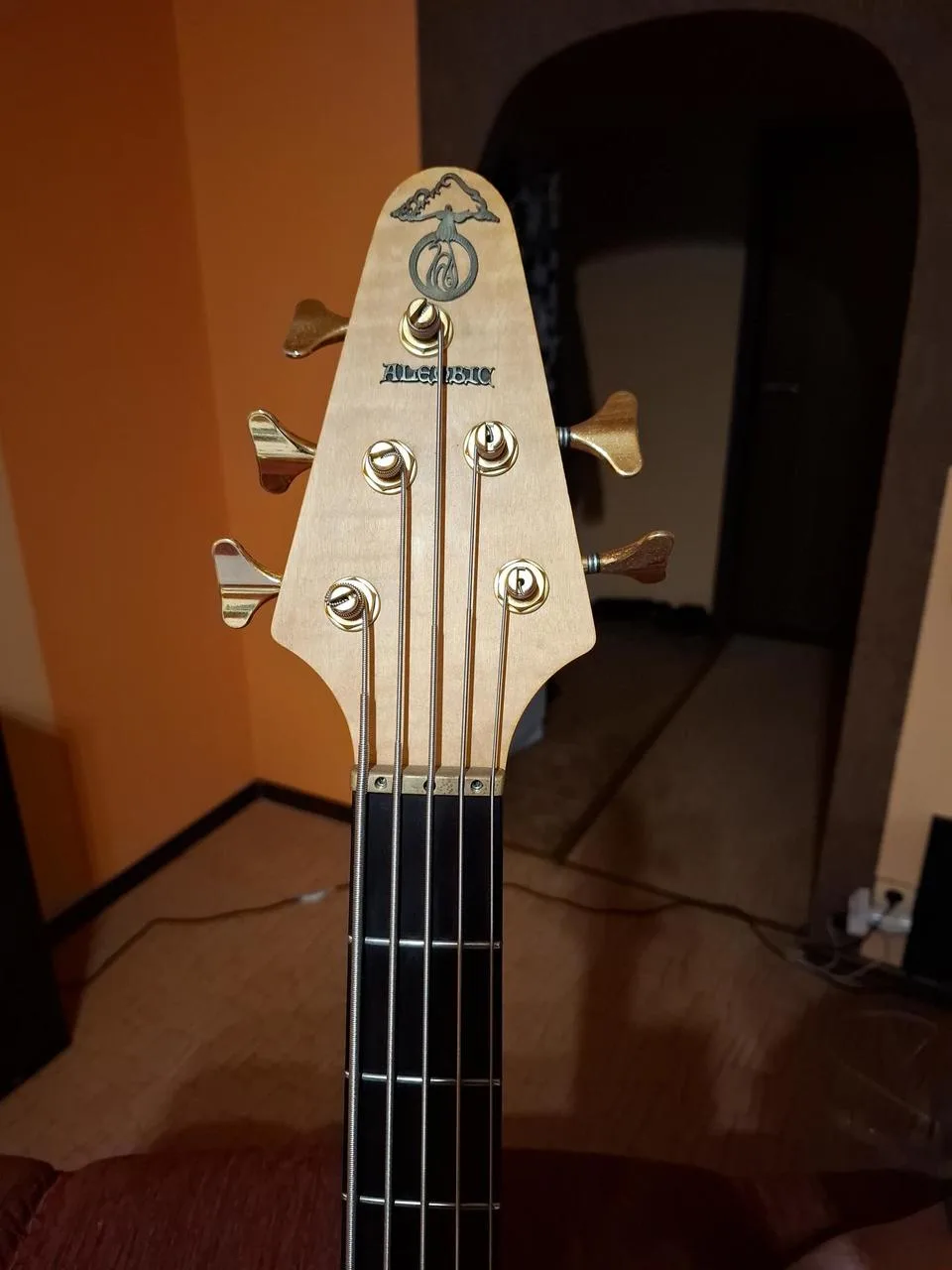 Alembic Epic 5