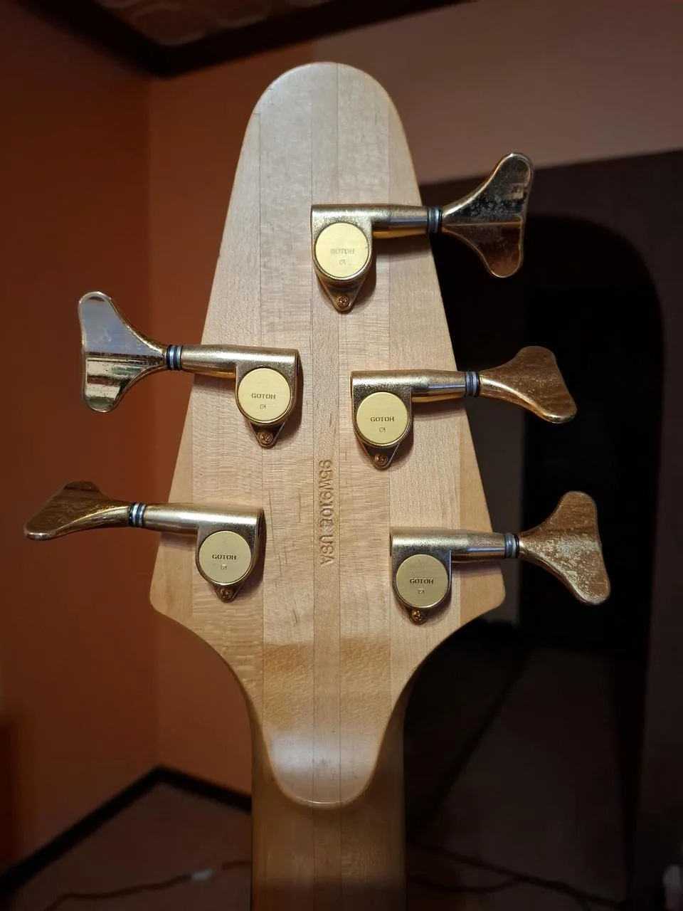 Alembic Epic 5
