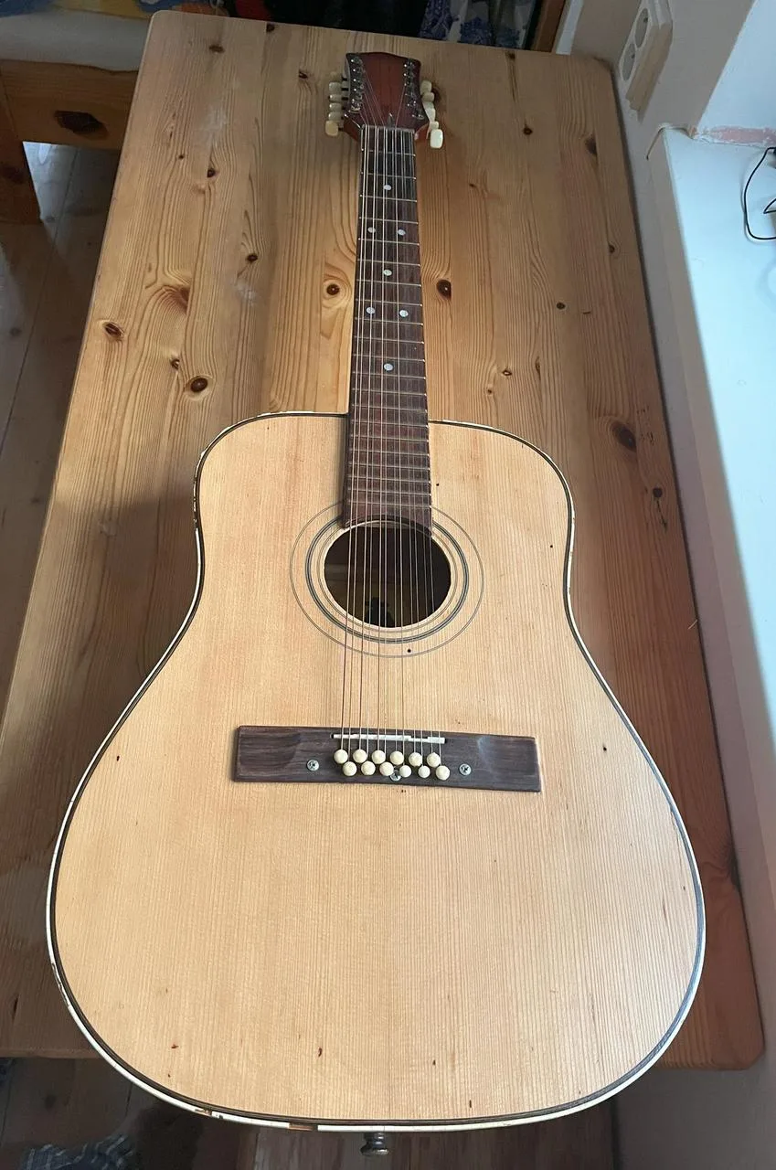 Kytara 12-ka akustika