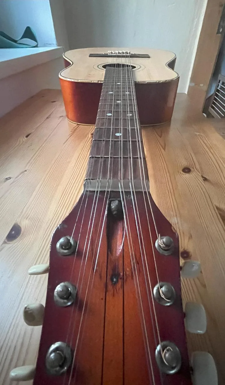 Kytara 12-ka akustika