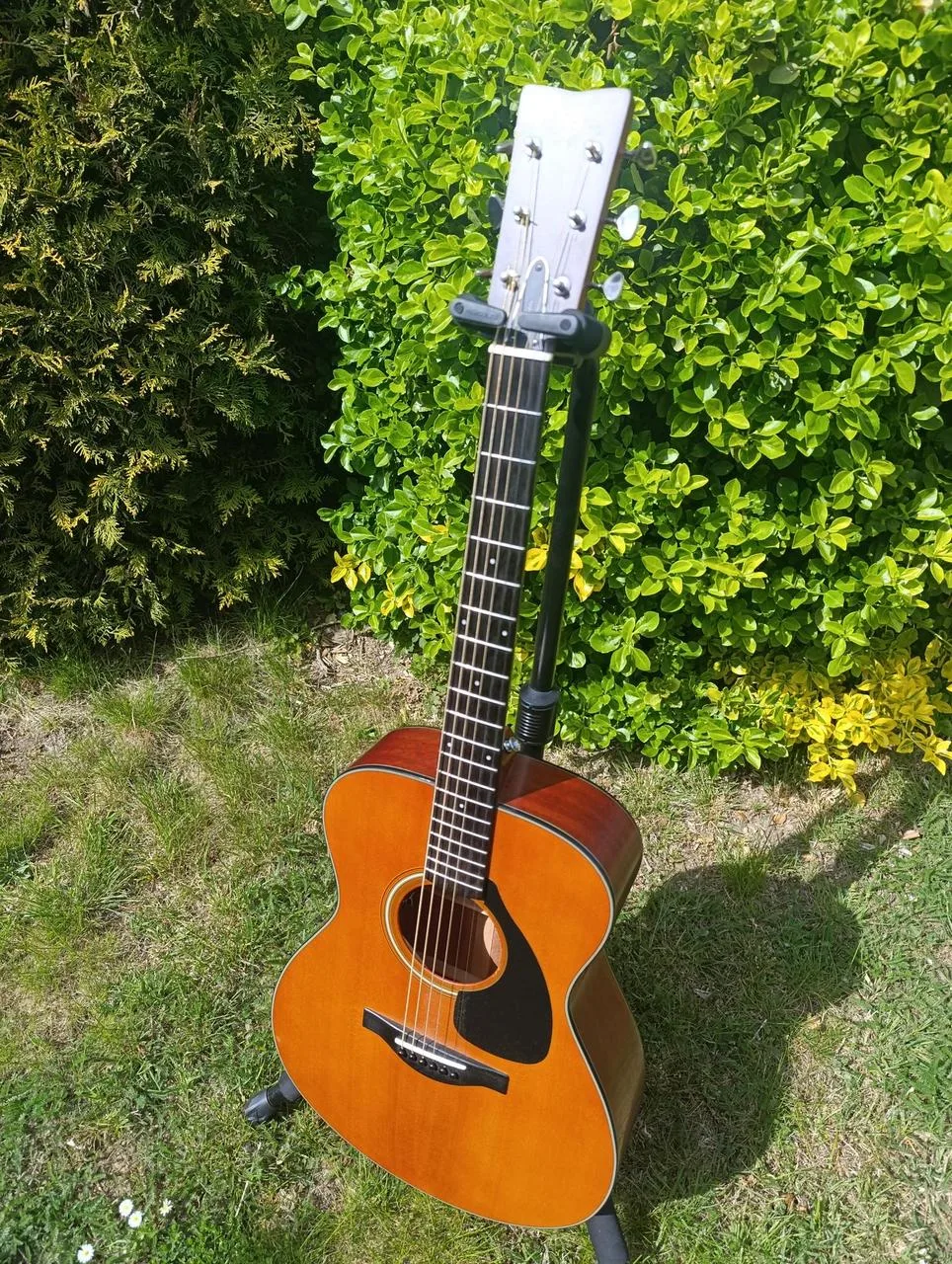 YAMAHA FSX3 celomasivní