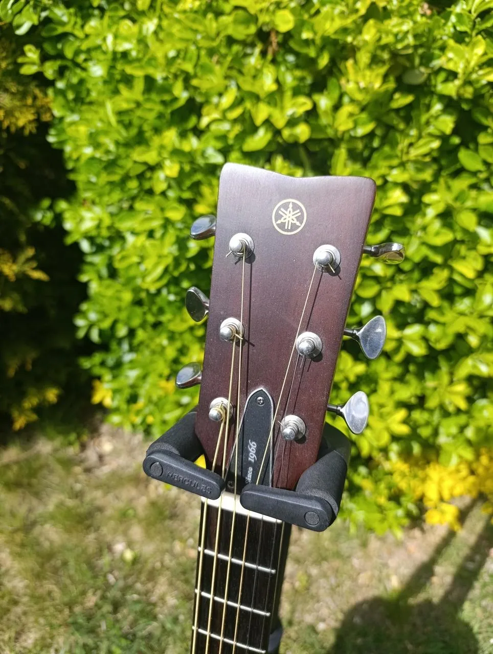 YAMAHA FSX3 celomasivní