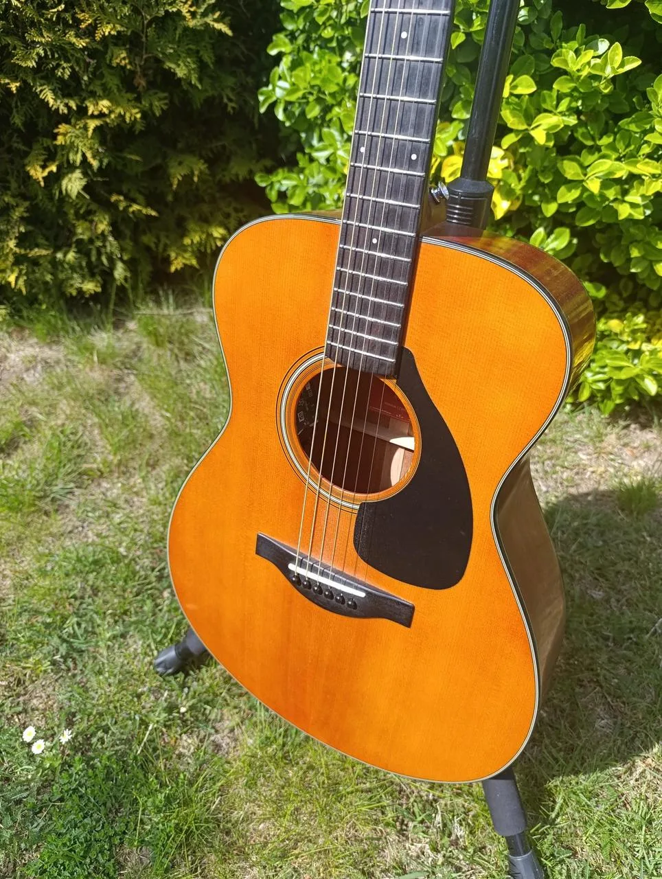 YAMAHA FSX3 celomasivní