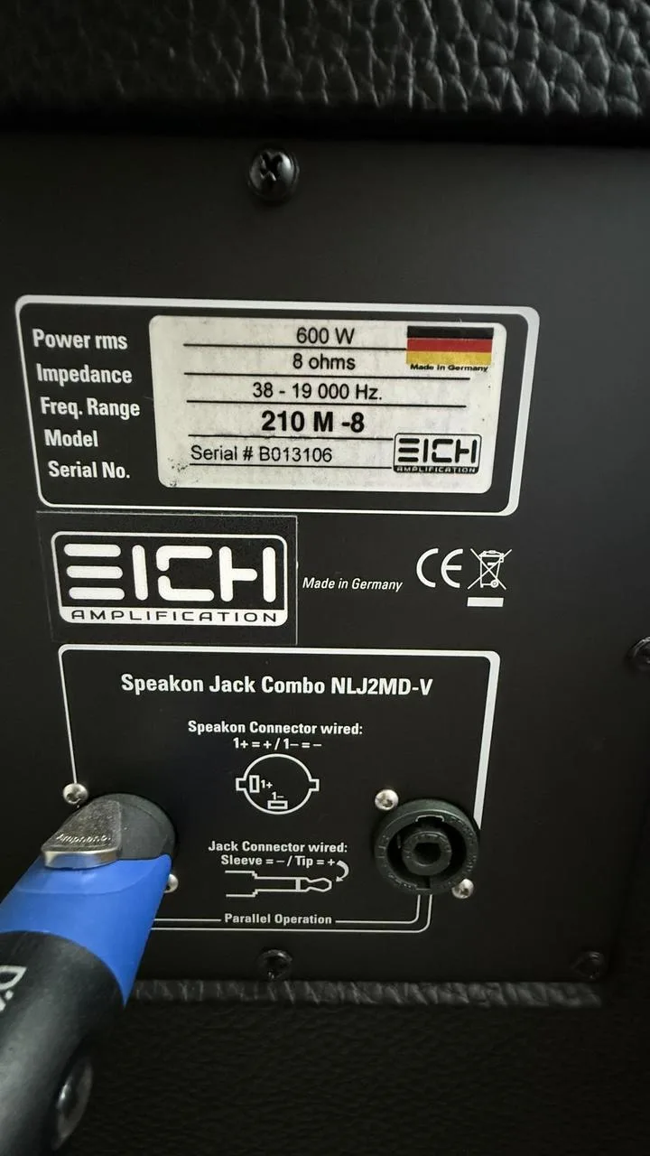 EICH T900 + EICH 210M (600 W / 8 Ω)
