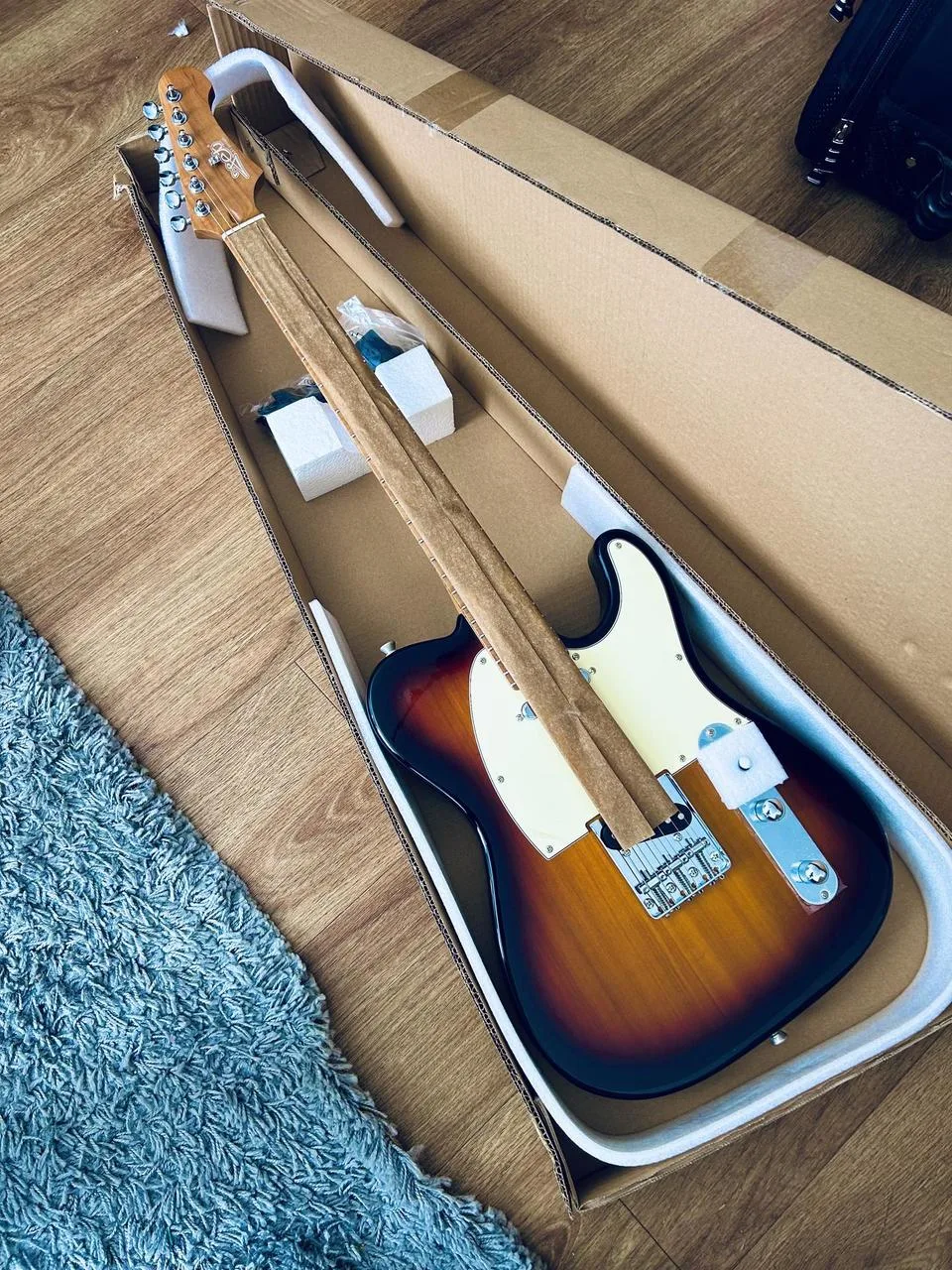 JET GUITARS JT 300 SB