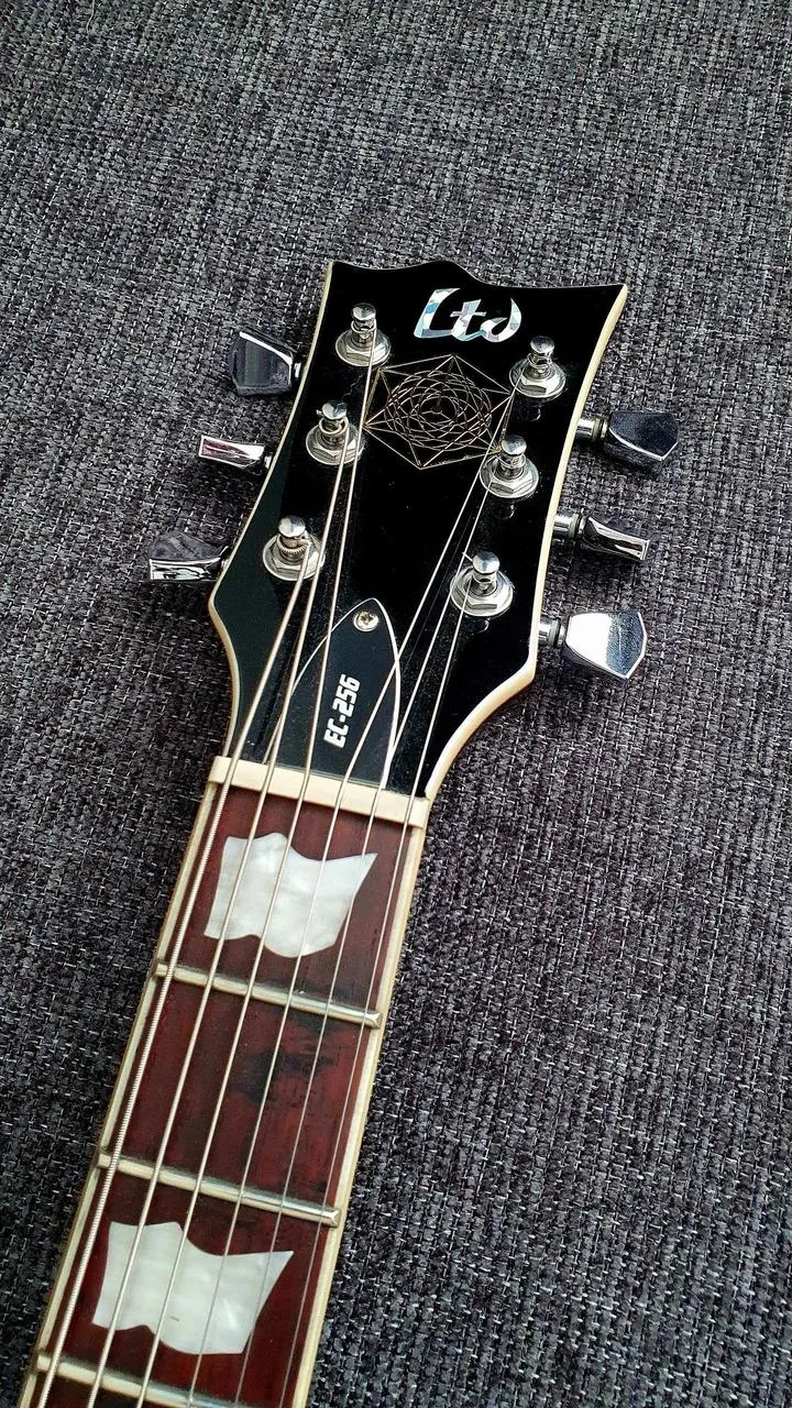 ESP LTD EC 256 DBSB