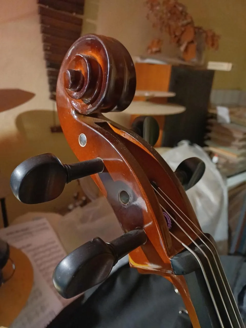 Violončelo LC-2044 4/4