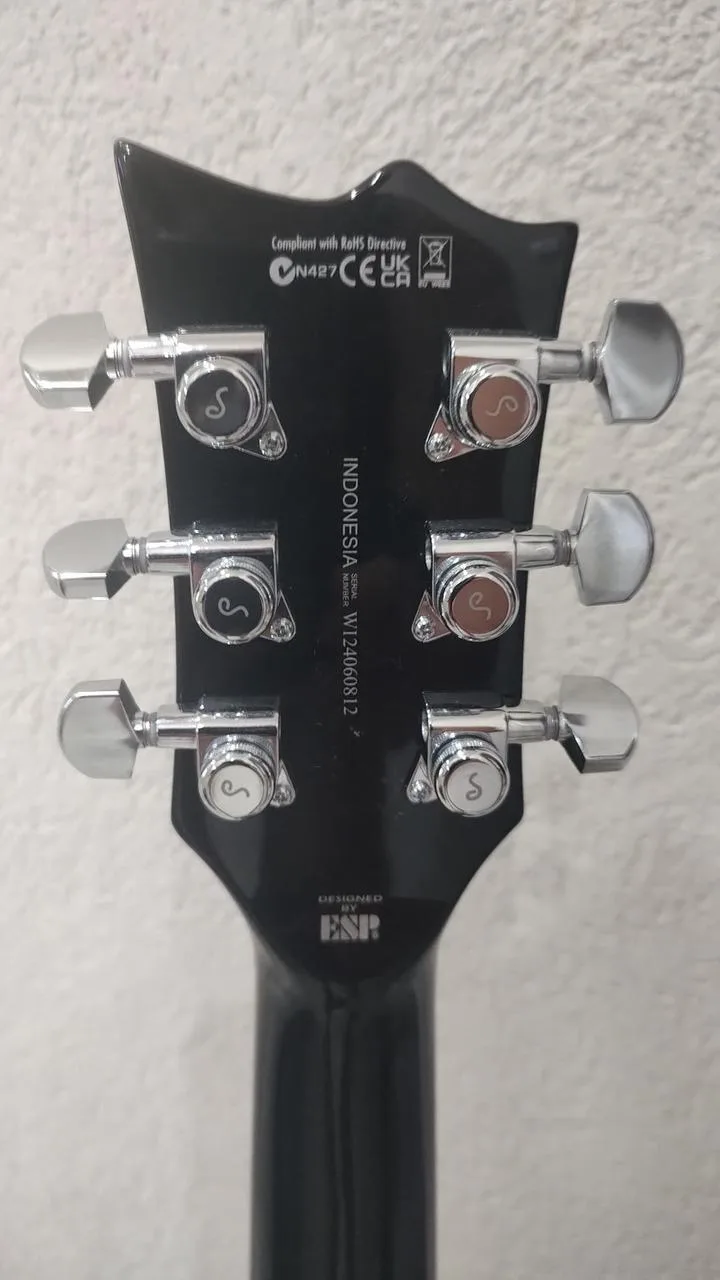 ESP LTD EC-201 FT Black.