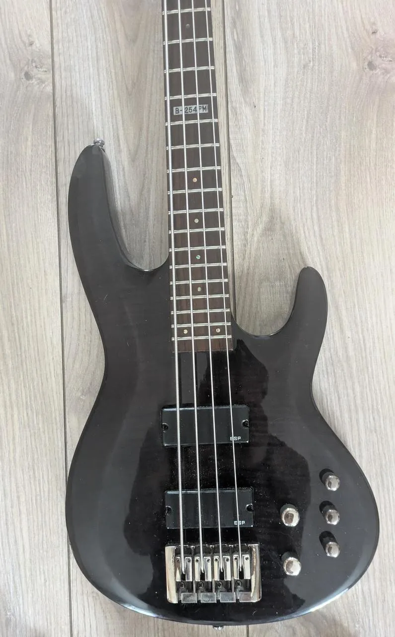 Prodám baskytaru LTD