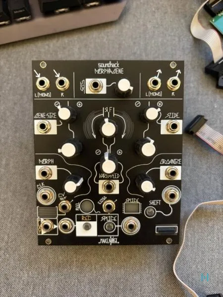 Make Noise Morphagene