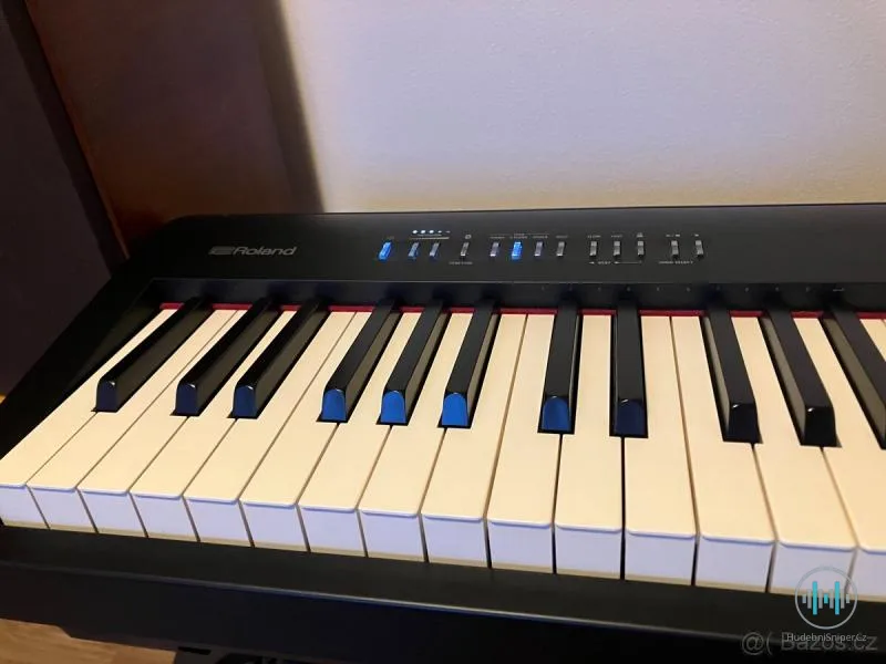 ROLAND FP30