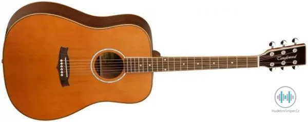 Tanglewood TW28 SN