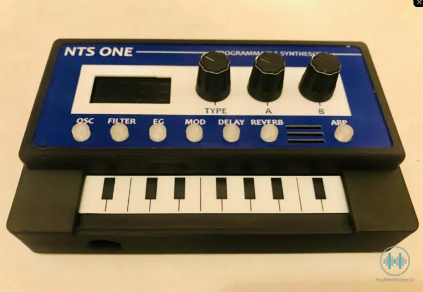 Korg NTS1 Custom