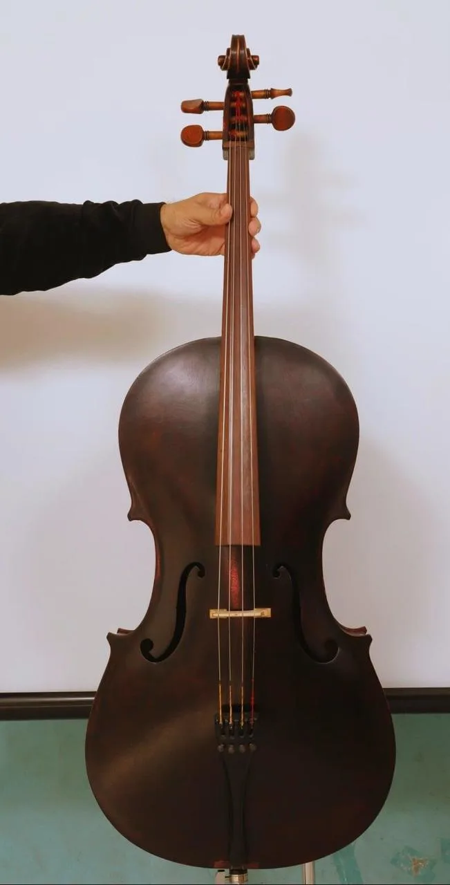 Staré Violoncello Johanes Nagy