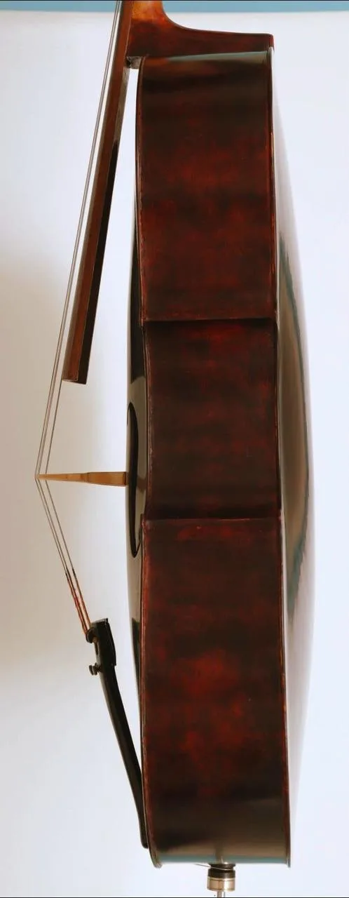 Náhled 5