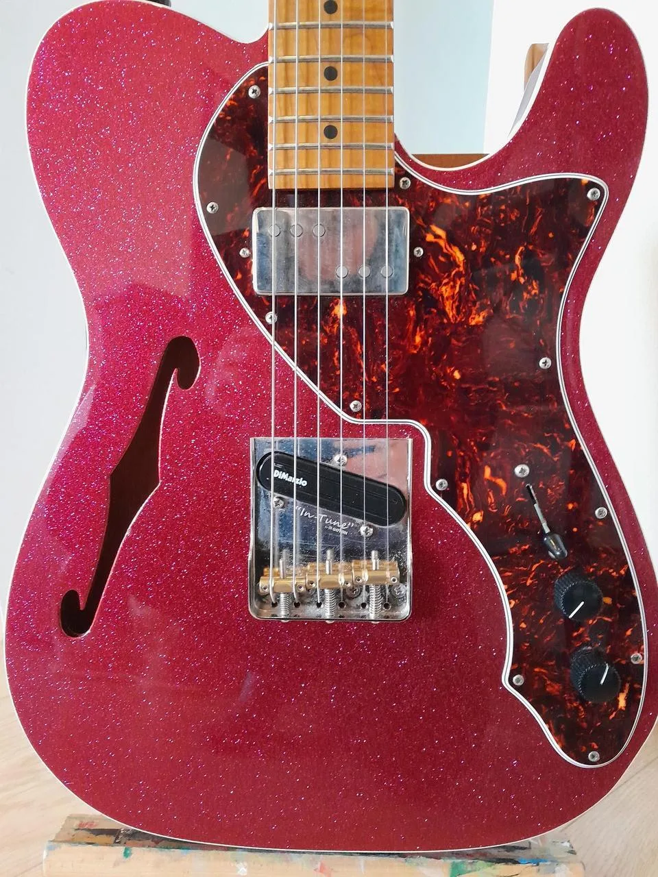 Prodam nebo Vymenim Telecaster Thinline 69 Partcaster