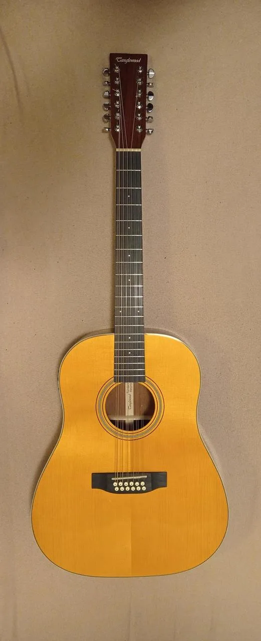 Dvanáctistrunná elektroakustická kytara TANGLEWOOD TW40-12 S