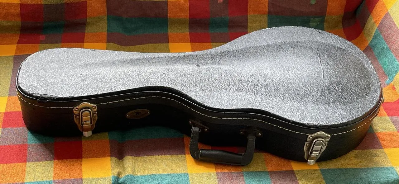 Mandolínové pouzdro TKL