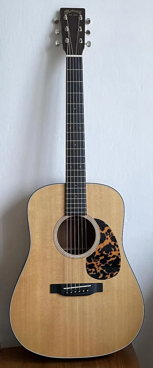 Martin D Jr. + pouzdro Shuster