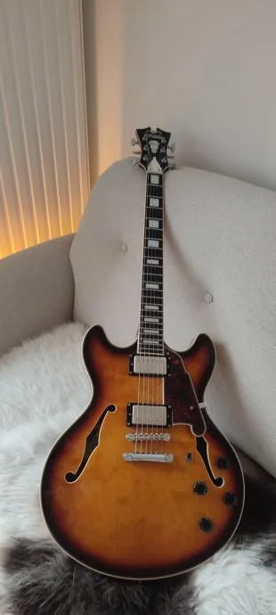 Dangelico Boardwalk 335 Seymour Duncan