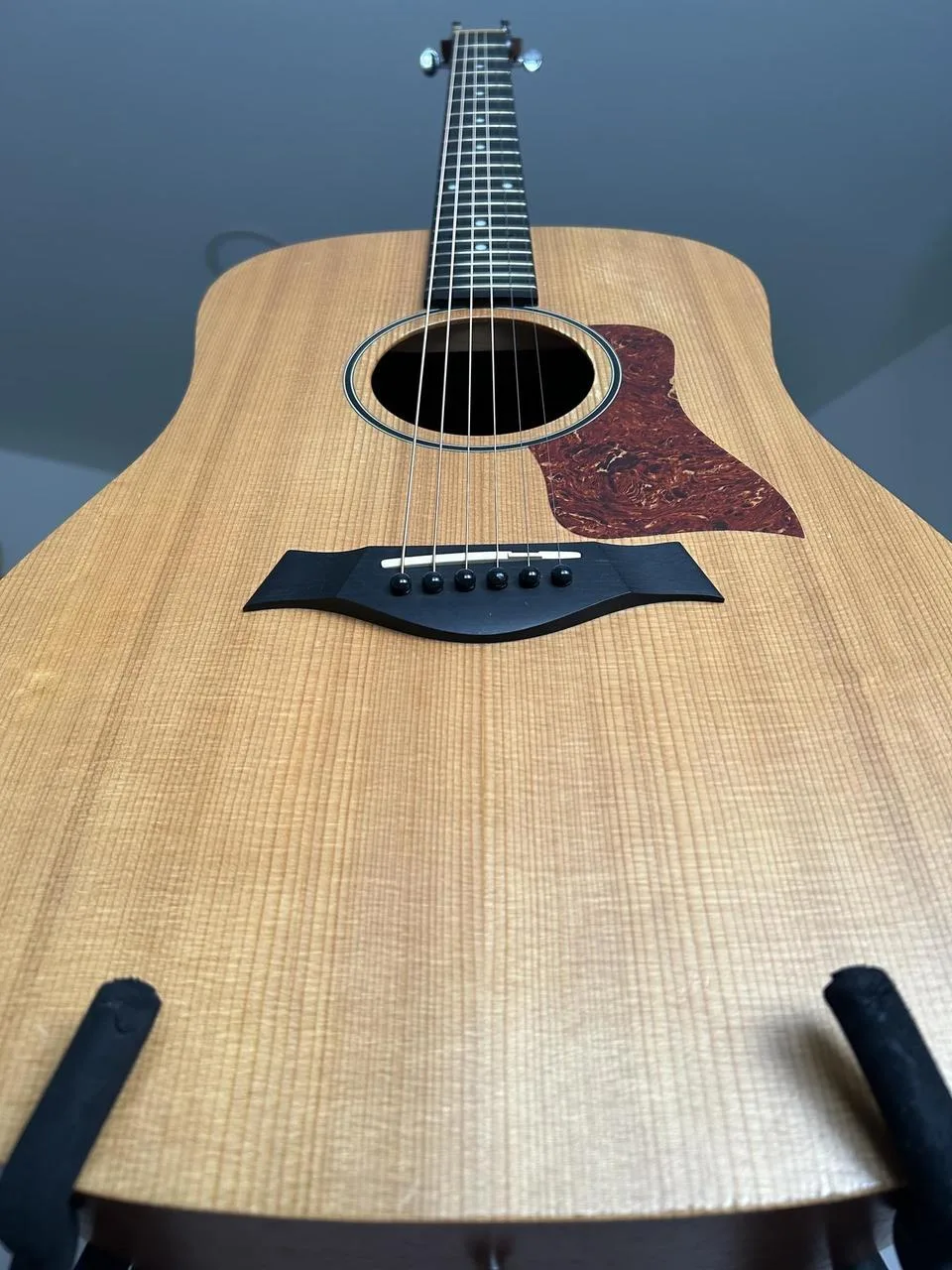 TAYLOR BBT Big Baby (MIM 2013)