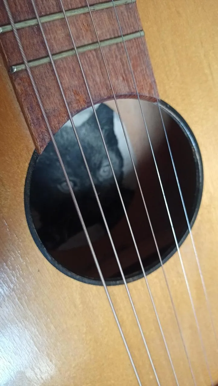 Náhled 9