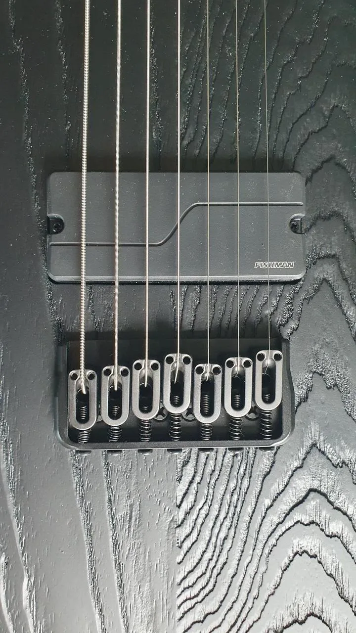 Nehraná barytonová 7strunka ESP LTD TE1007B