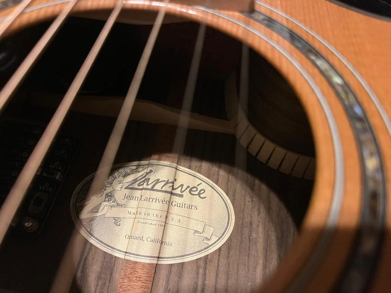Larriveé LSV-11CE včetně BAM case