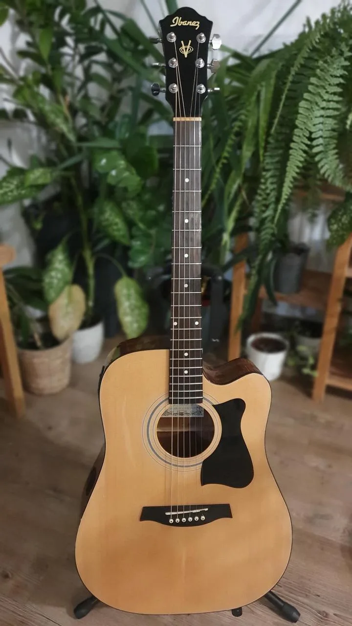 Elektroakustika Ibanez