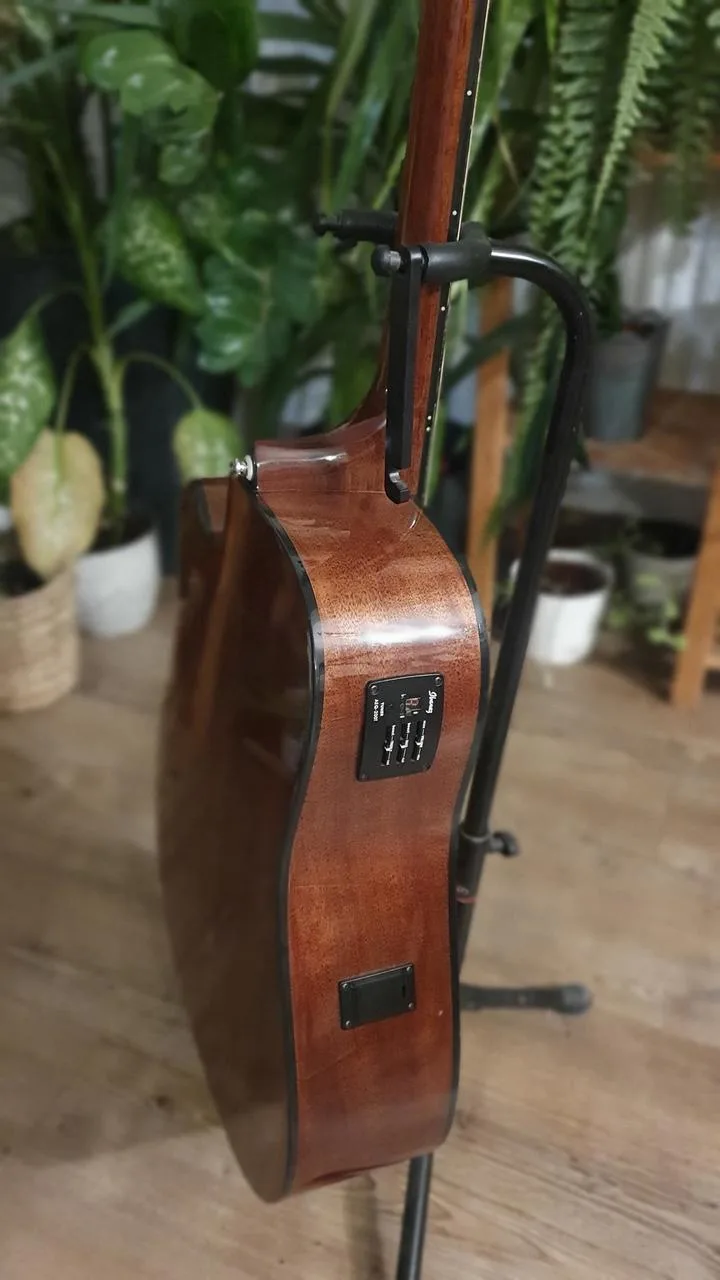 Elektroakustika Ibanez