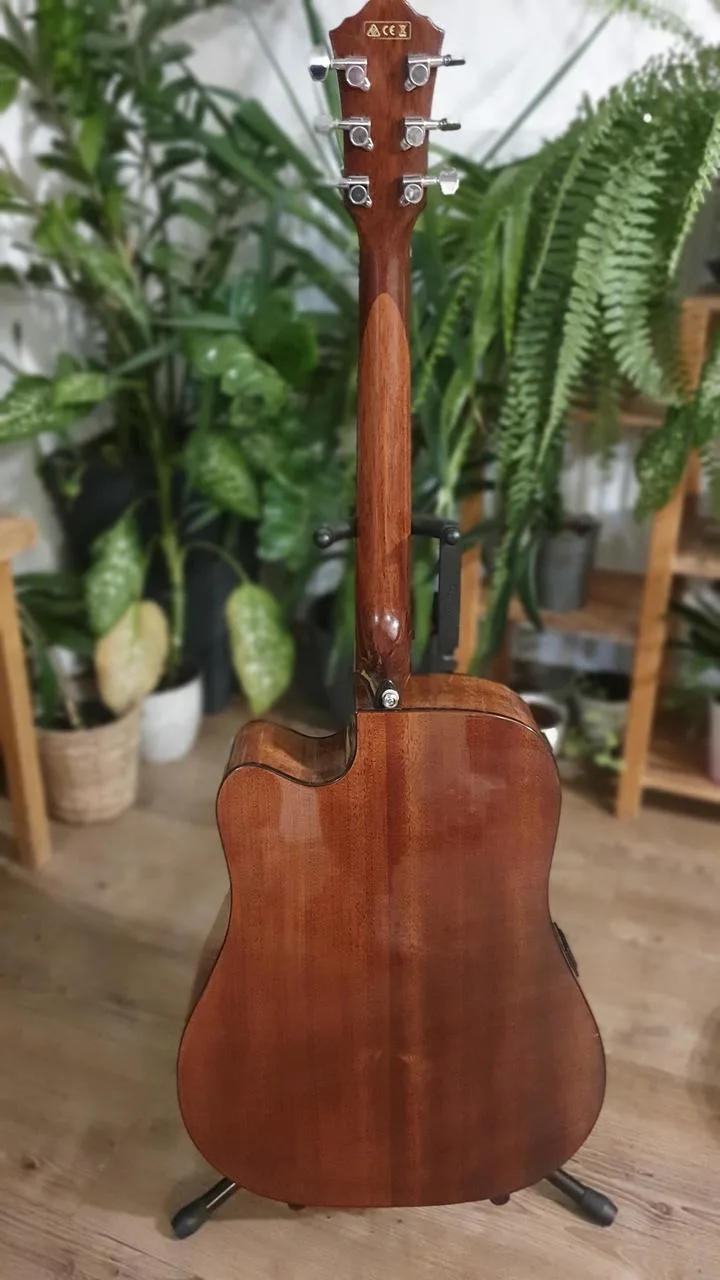Elektroakustika Ibanez