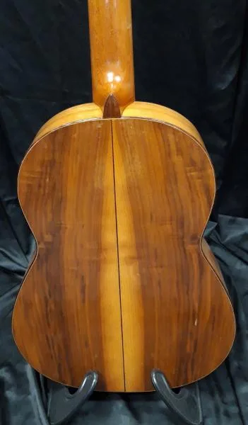Mistrovská koncertní kytara Martin Fleeson Opus81