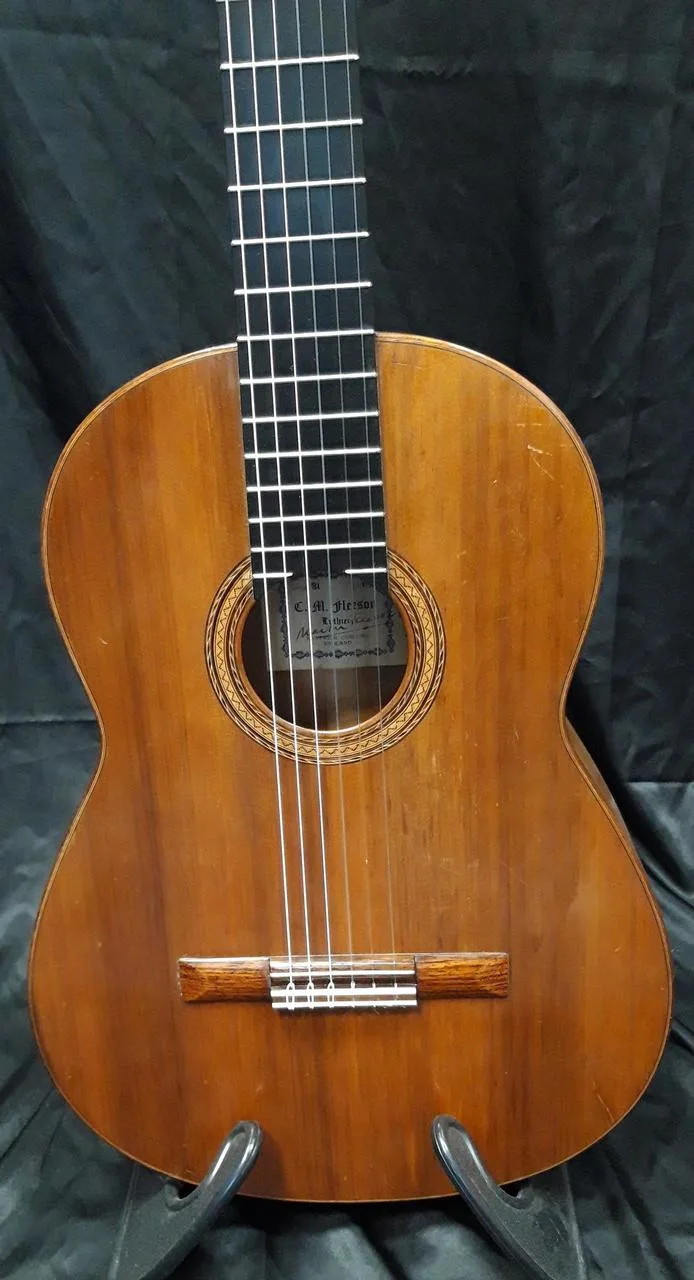 Koncertní mistrovská kytara Martin Fleeson model OPUS81