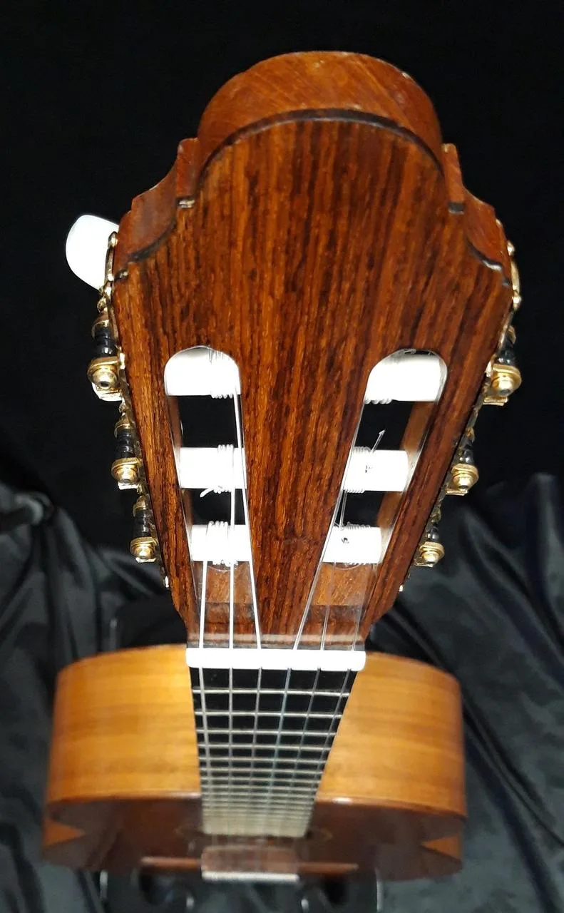 Koncertní mistrovská kytara Martin Fleeson model OPUS81