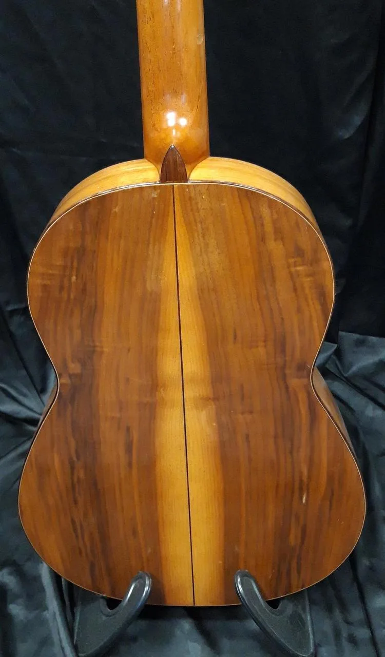 Koncertní mistrovská kytara Martin Fleeson model OPUS81