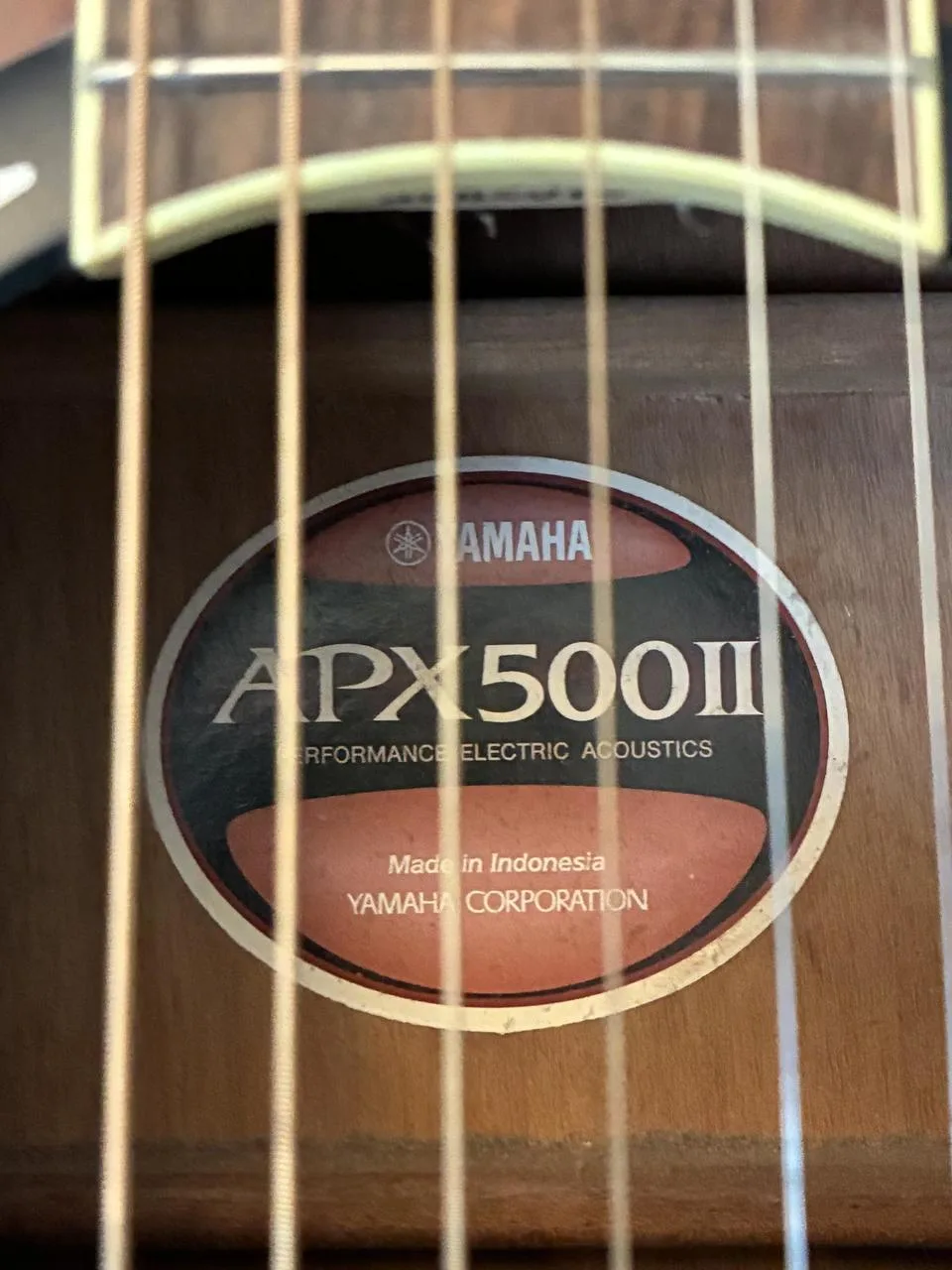 Yamaha APX 500