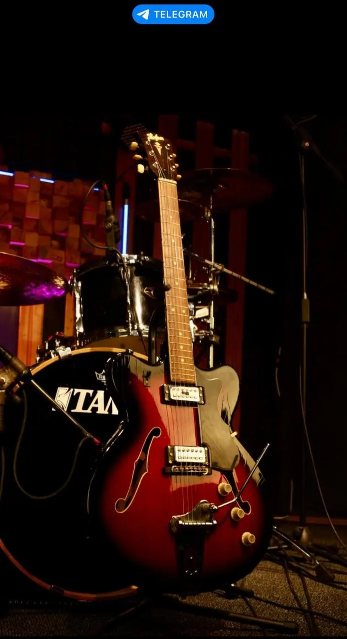 Hofner 4600 Vintage 60’s