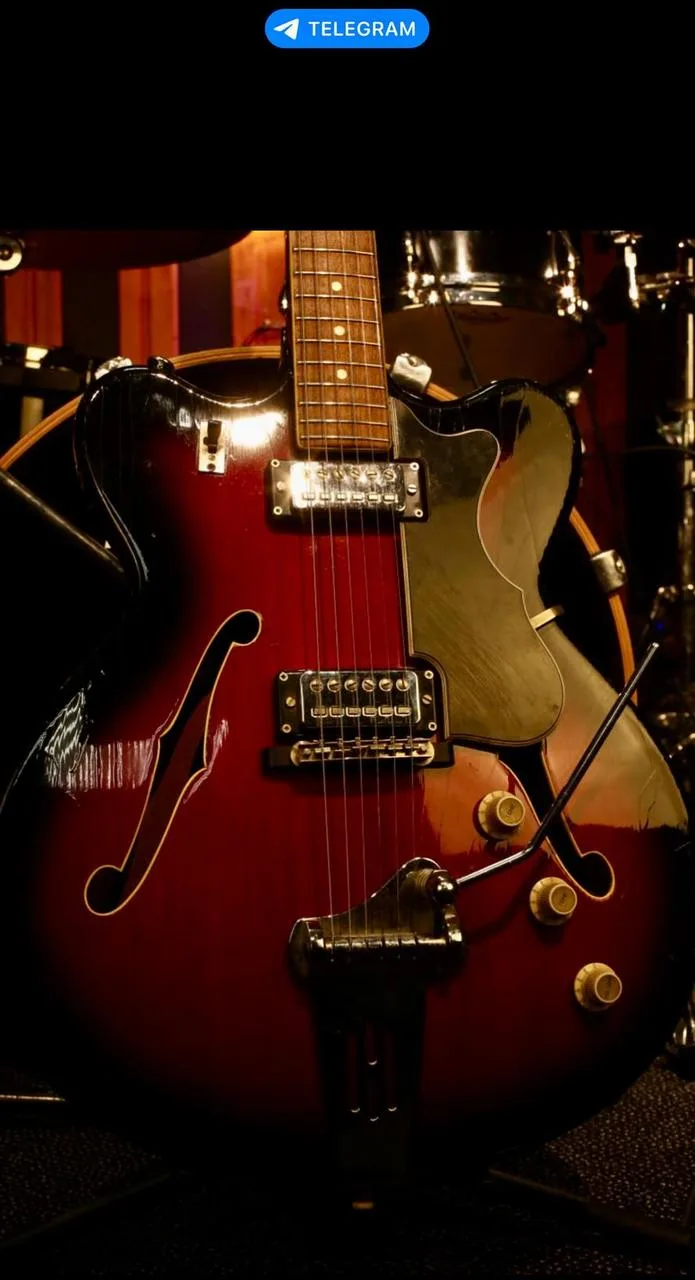 Hofner 4600 Vintage 60’s