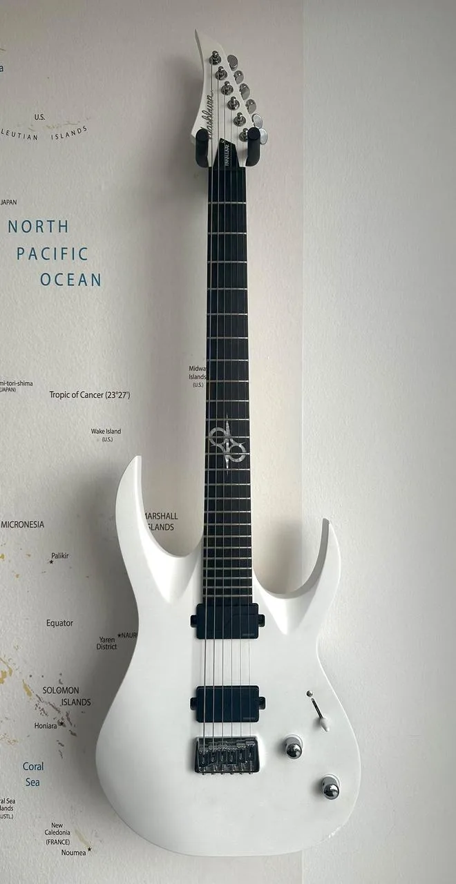 Washburn PX-Solar 160WHM (Výměna)