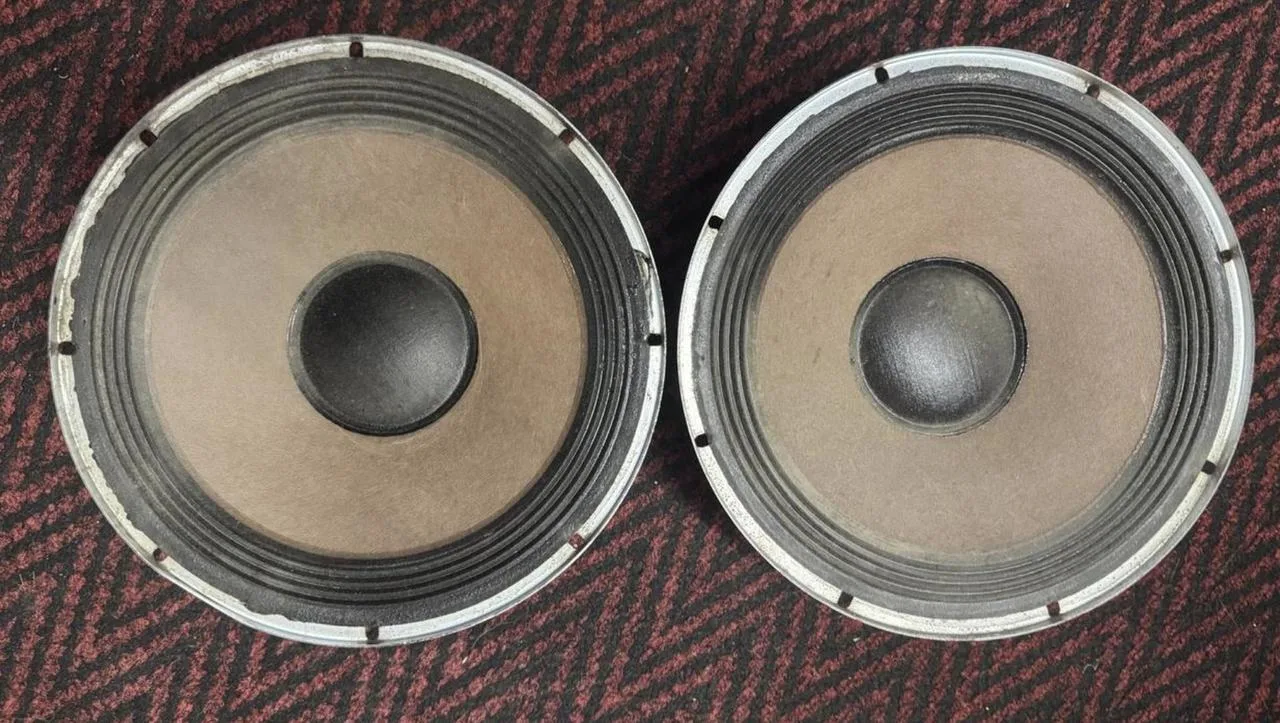 1971 vintage 10" CTS 10L6F-1 25W REPRO Made in USA