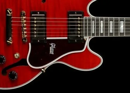 Pickguard, panel neboli slinták na ES-339