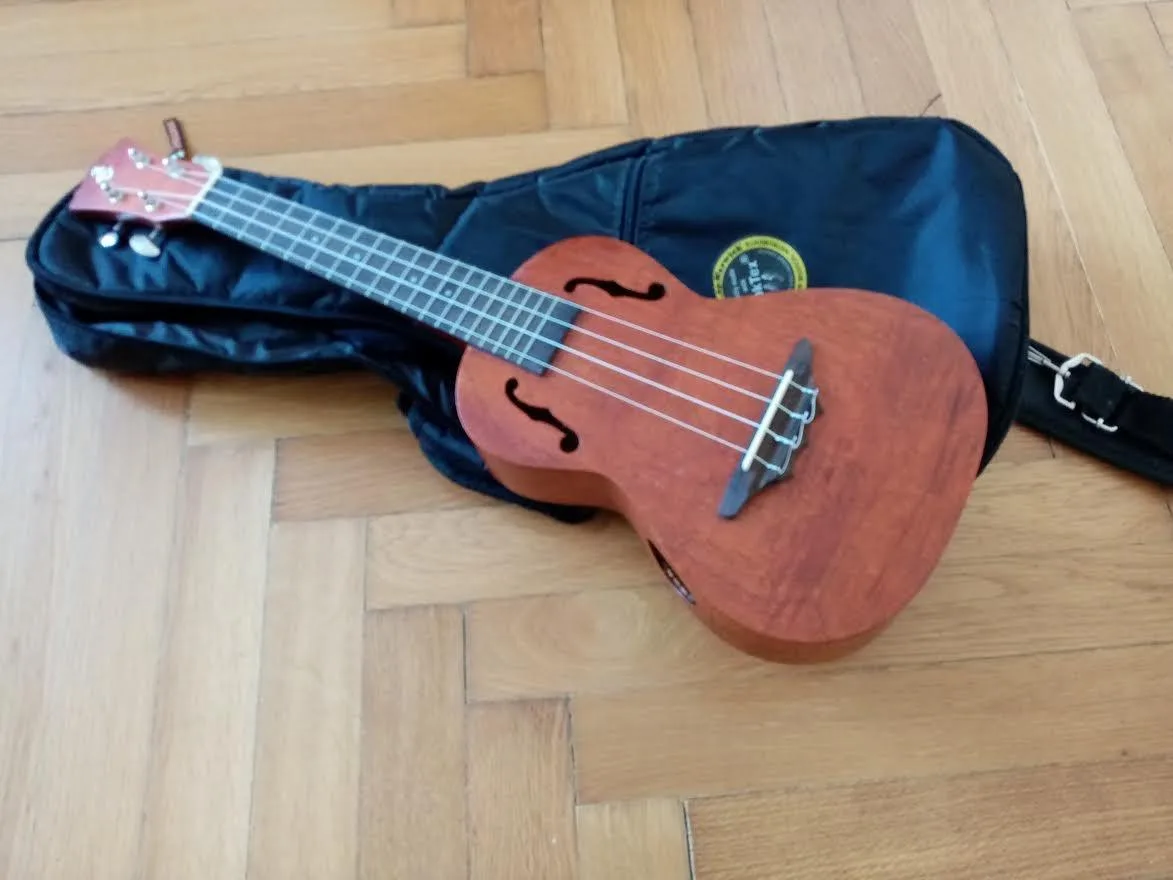 Koncertní ukulele s obalem