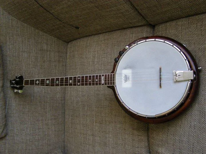 Pětistrunné banjo Průcha