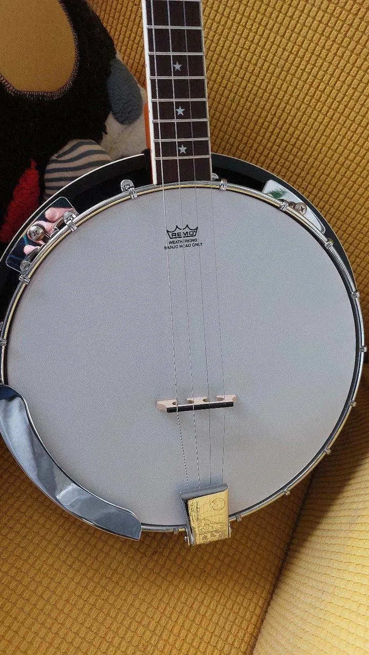 Čtyřstrunné banjo SX + pevný obal
