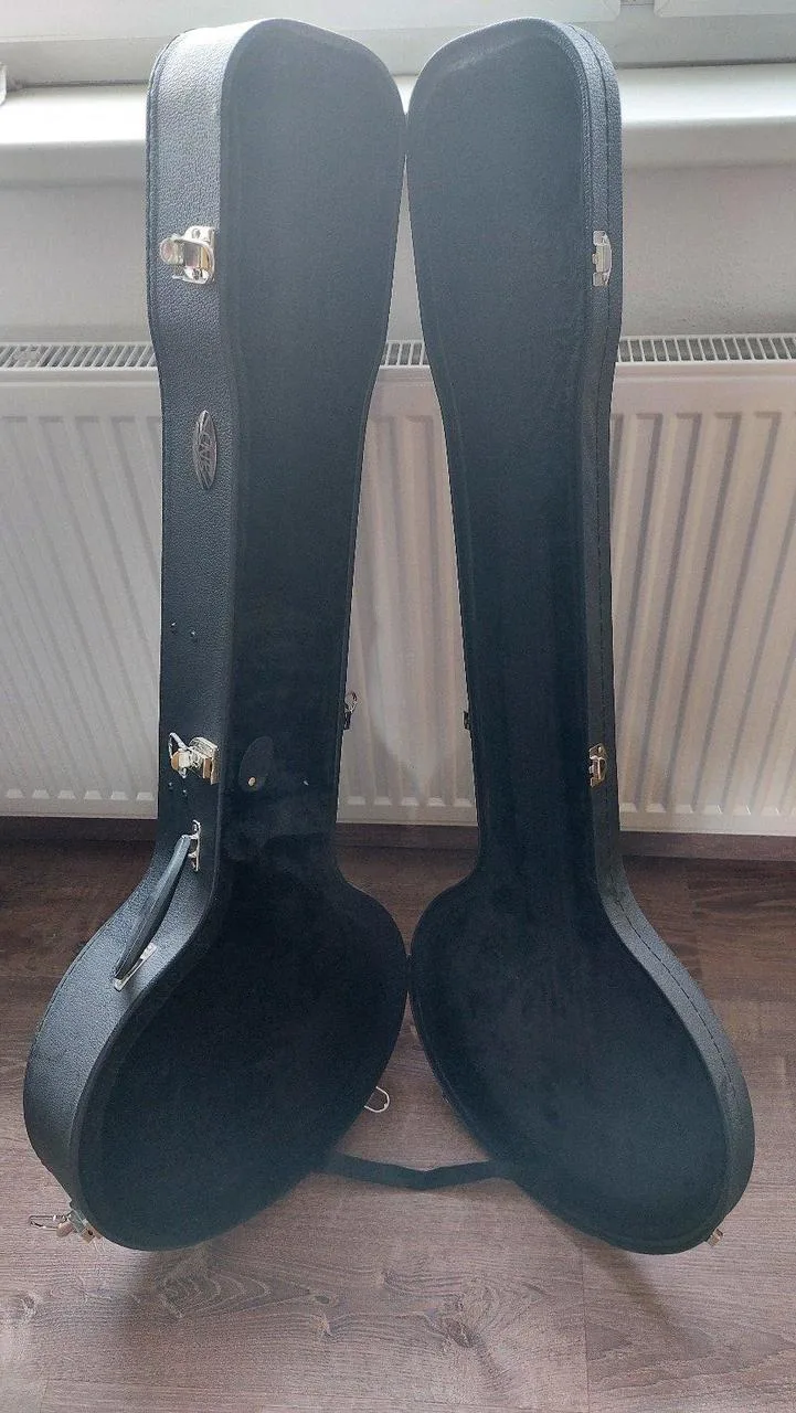 Čtyřstrunné banjo SX + pevný obal