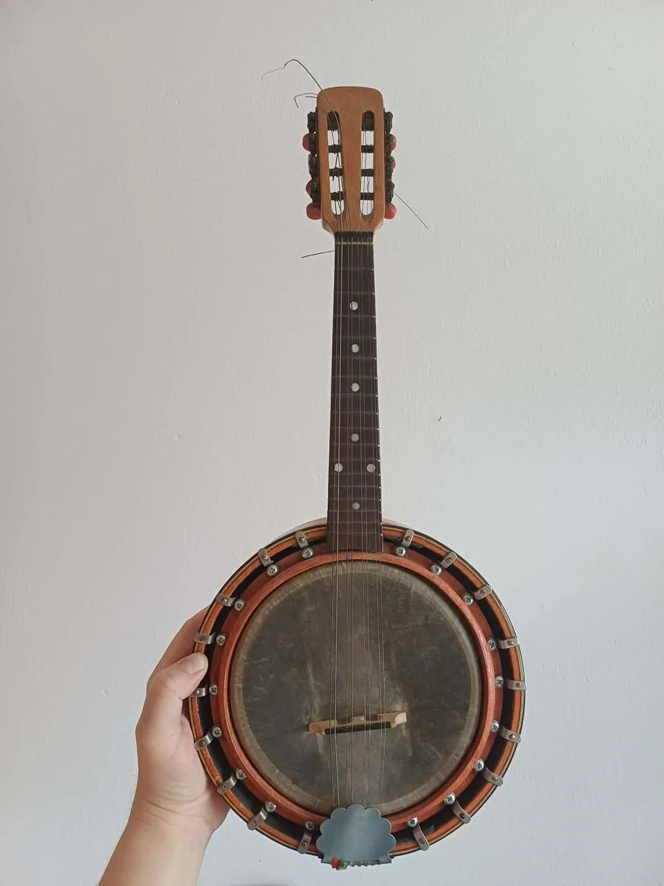 Starší mandolínové banjo