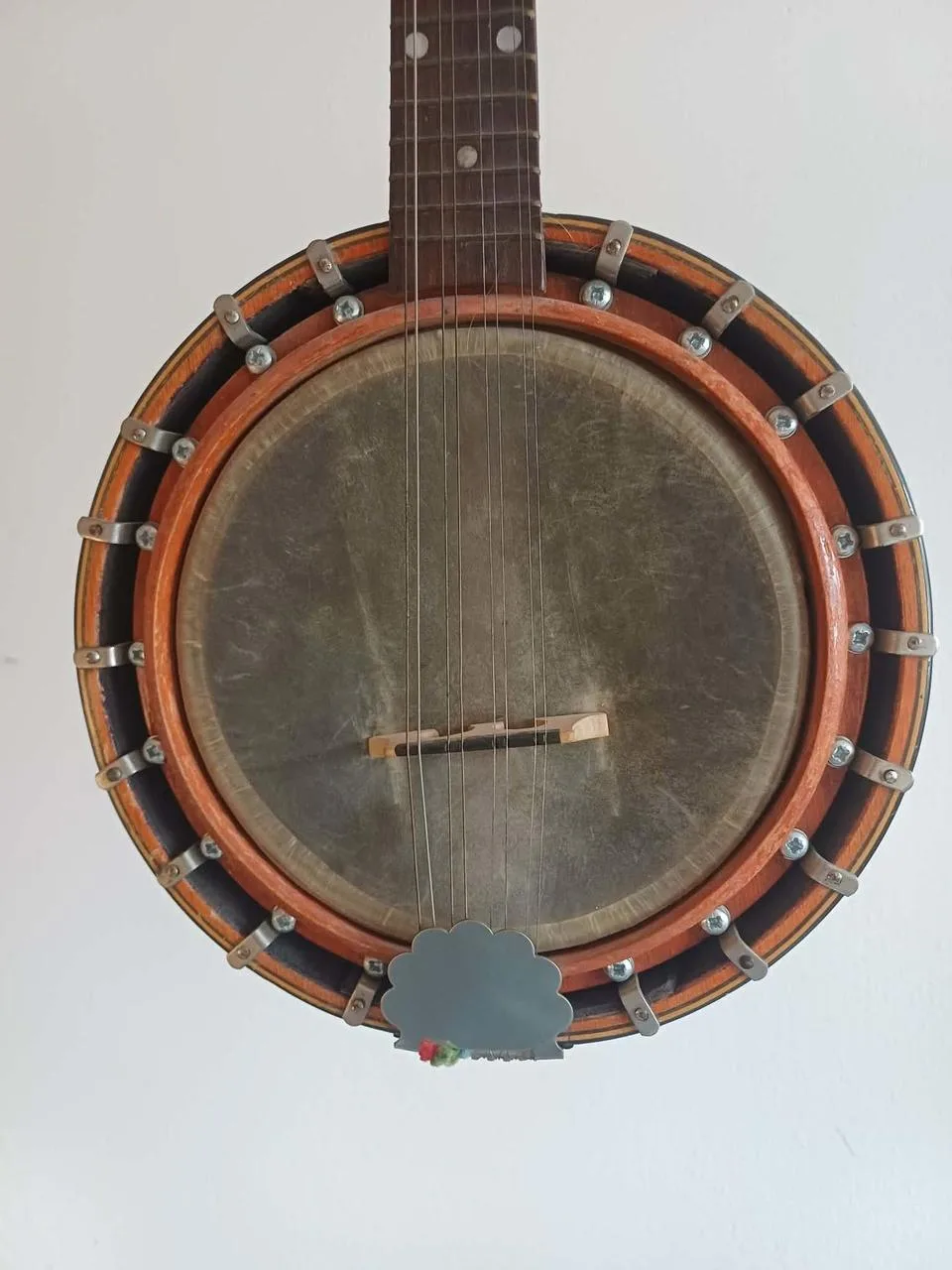 Starší mandolínové banjo