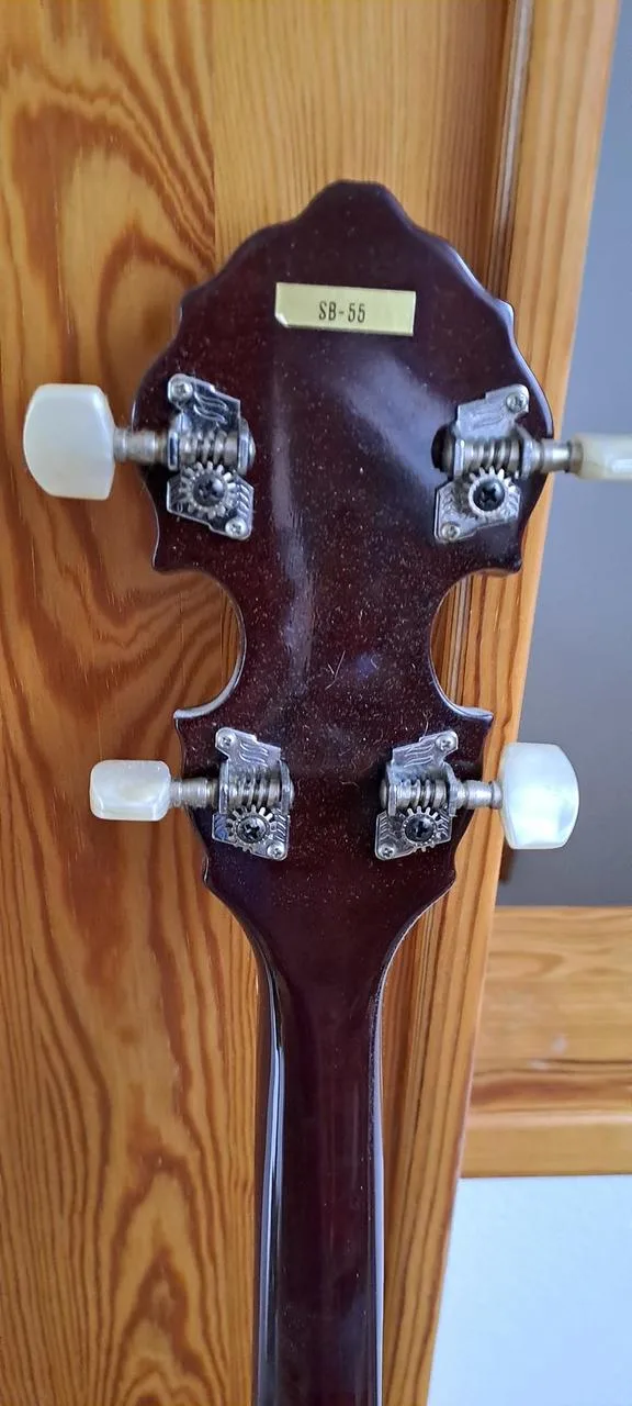 Prodám 5ti-strunné banjo zn. SAMICK SB-55