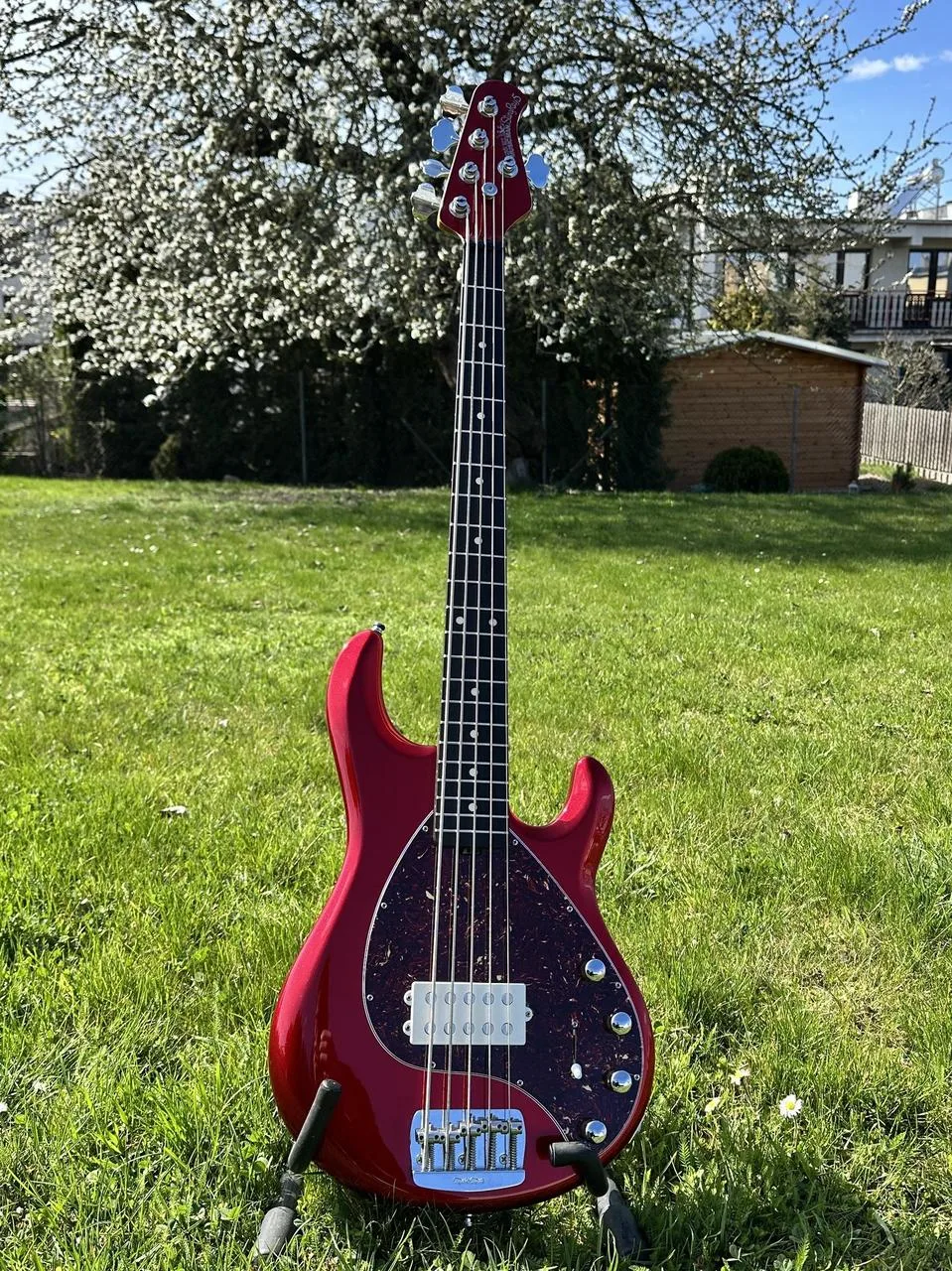 Music Man Special 5 Candyman